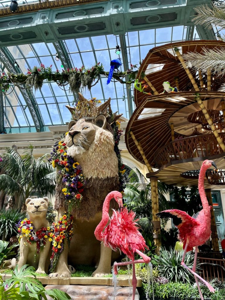 Bellagio Conservatory and Botanical Garden Summer Display