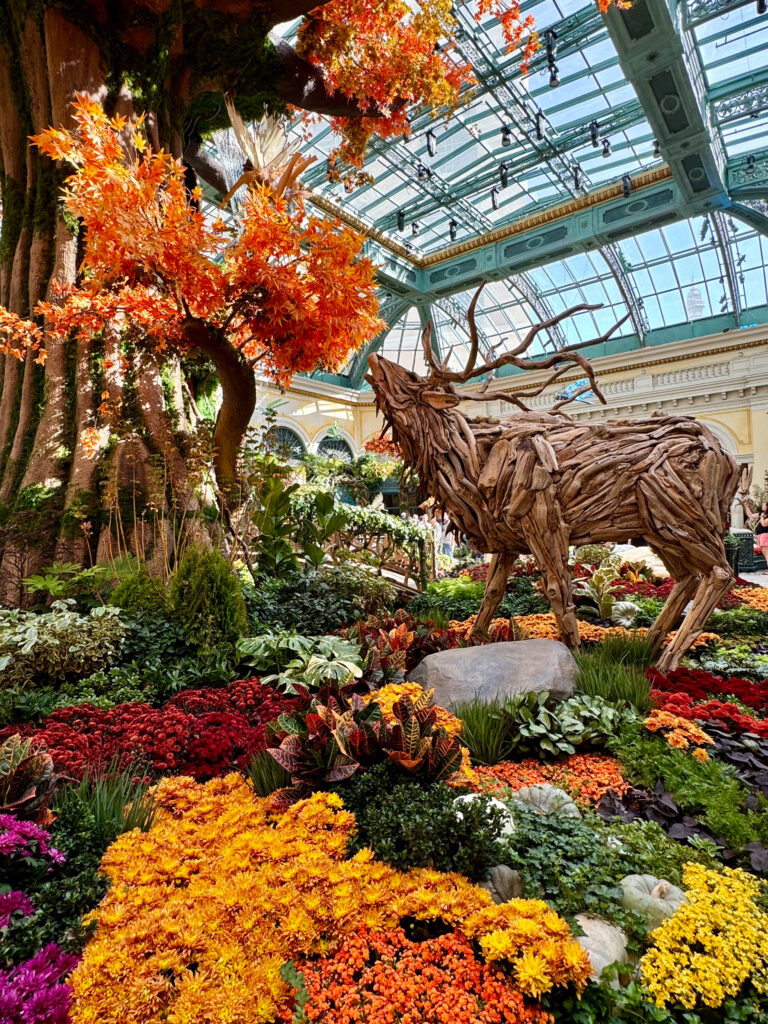 Bellagio Conservatory - Fall 2024