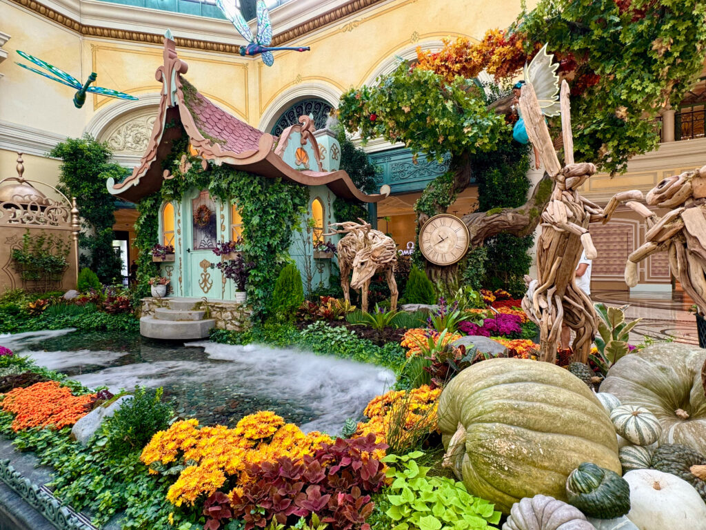 Bellagio Conservatory Fall 24