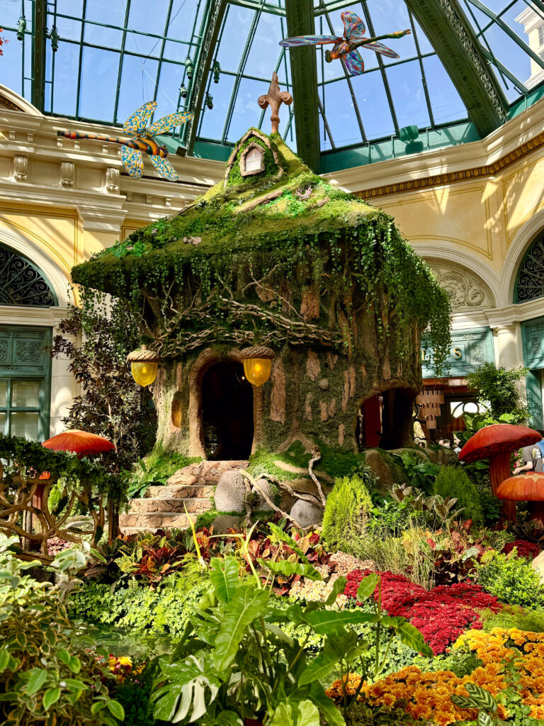 Bellagio Conservatory Fall Display 2024